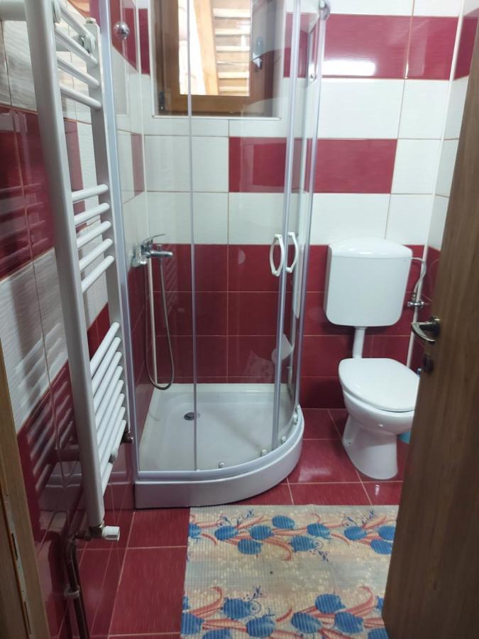 Vila Ioana Hotel Slanic Moldova Luaran gambar
