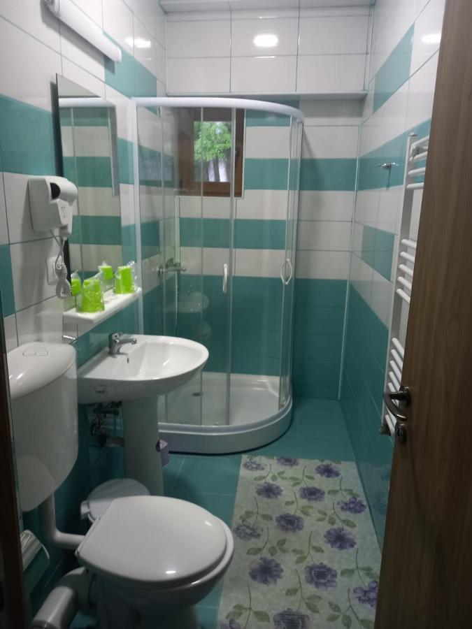 Vila Ioana Hotel Slanic Moldova Luaran gambar
