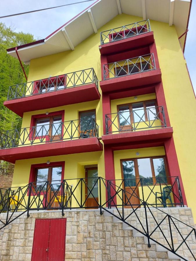 Vila Ioana Hotel Slanic Moldova Luaran gambar